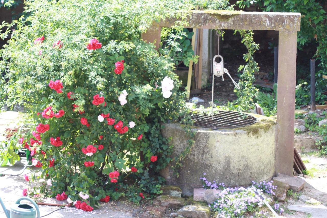 Bed and Breakfast La Grange Aux Coqs Ittenheim Zewnętrze zdjęcie